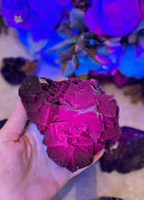 Load image into Gallery viewer, RARE Black Rose Fluorite Specimens, Fluoresce Red or Pink
