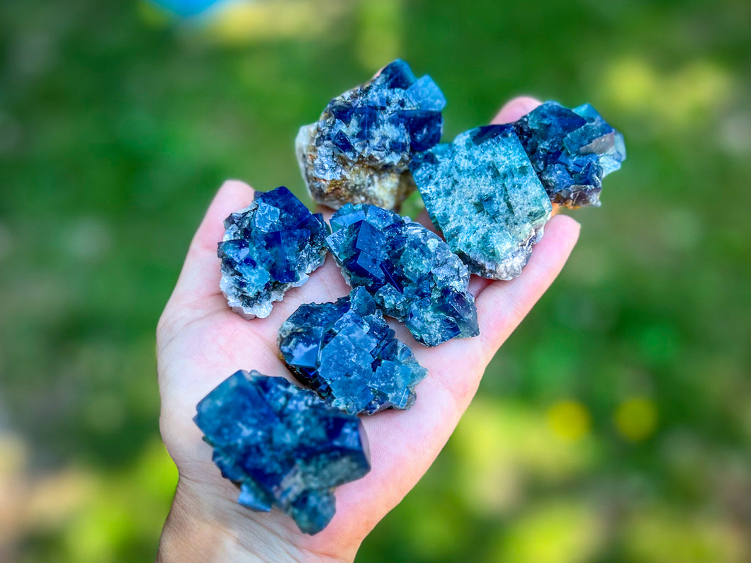 Naughty Gnome Pocket Fluorite Clusters, Diana Maria Mine, Daylight Fluorescent Fluorite