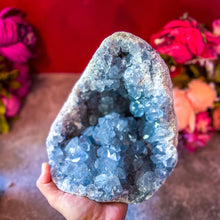 Load image into Gallery viewer, Ethically Sourced CELESTITE Clusters, 5.5 lbs - 10 lbs!
