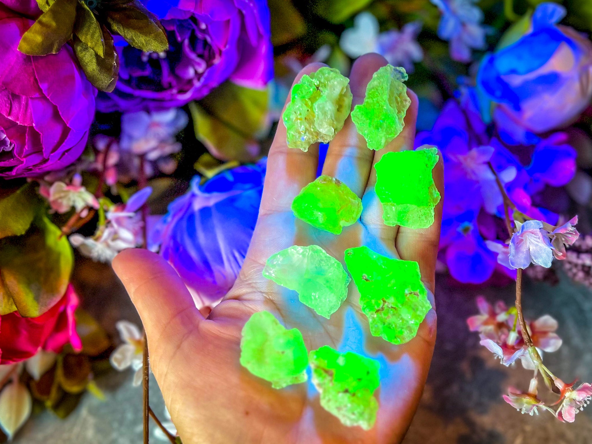 Hyalite Opal Gem Quality professionally cleaned Fluorescent Gems and Stones Crystal Collectors Dream Piece Pure Energy Crystals Healing online