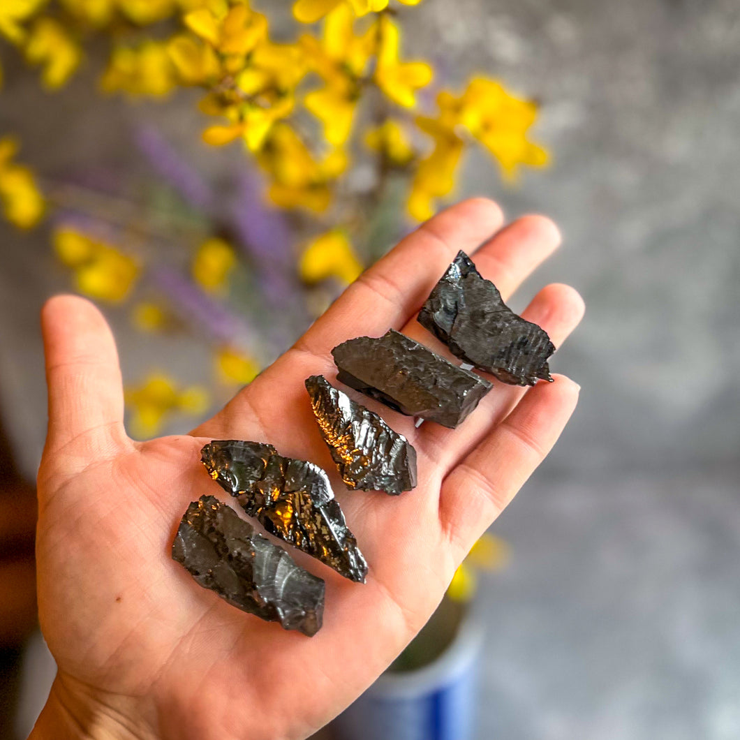 Raw Columbian Shungite