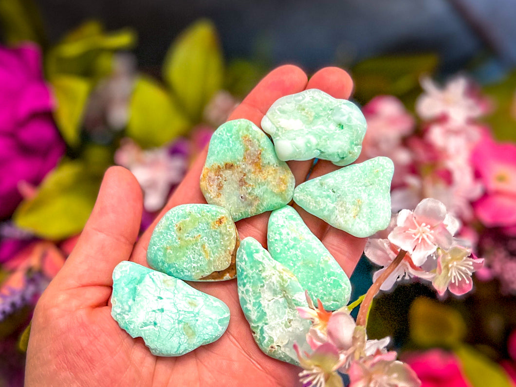 POLISHED CHRYSOPRASE Specimens