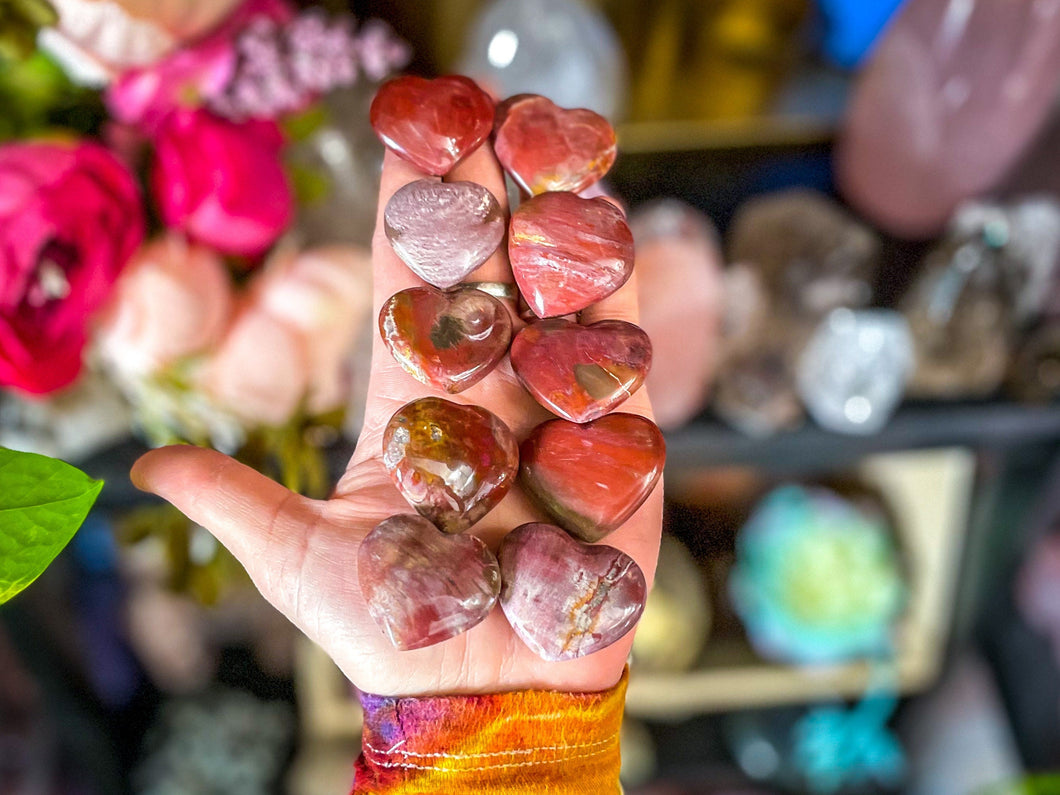 Petrified Wood Heart shaped crystal