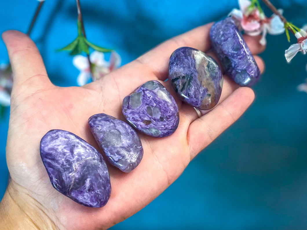 Polished Charoite