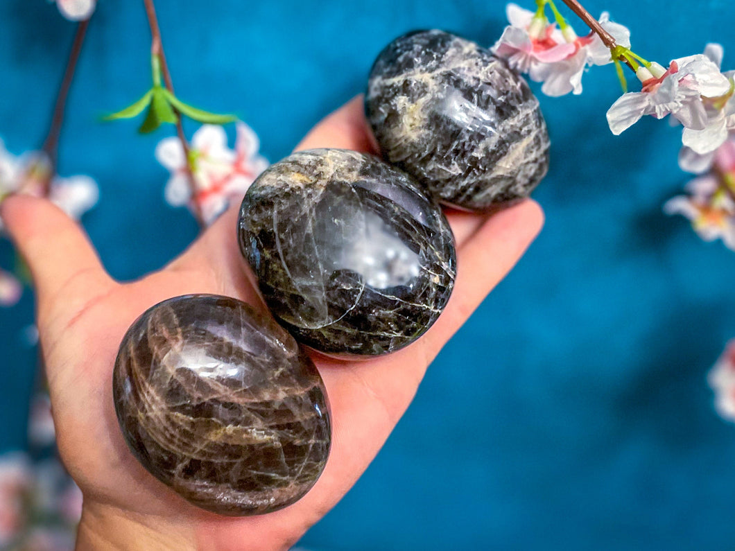 Black Moonstone Palmstones