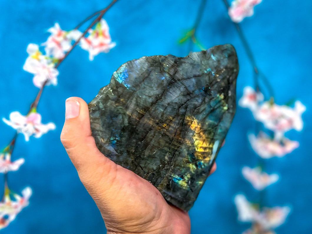 Standing  Labradorite crystal slabs