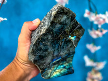 Load image into Gallery viewer, Standing  Labradorite crystal slabs
